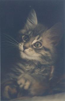 Emma Jo at 10 weeks